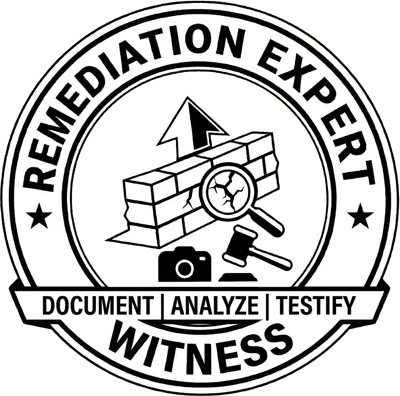 Remediation Expert